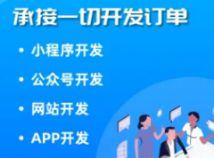 软件开发/网站制作/app开发/应用开发