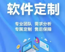 软件开发，软件定制，APP开发定制，小程序开发